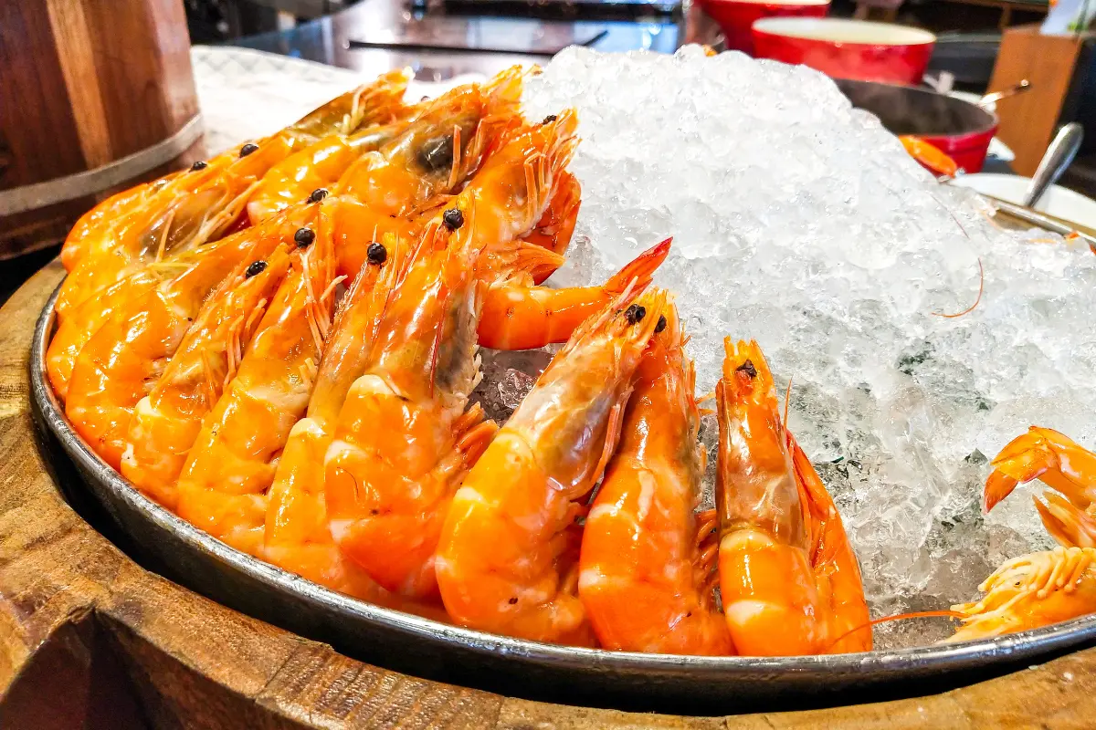 boiled shrimp in ice bath for preservation.